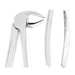 MAYERBACH Alt Premolar - Alt Küçük Azı Davye Fig 13 - Görsel 2