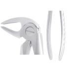 KRUGER Alt Premolar – Alt Küçük Azı Davye Fig 13 - Görsel 2