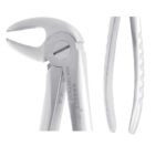 KRUGER Alt Molar Davye Fig 22 - Görsel 2