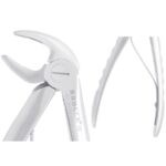 KRUGER Alt Premolar - Küçükazı Pedo (Çocuk) Davyesi - Görsel 2