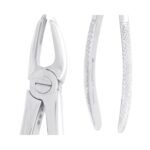 MAYERBACH Üst Sağ Molar Davye Fig 17 - Görsel 2