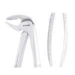 MAYERBACH Alt Molar Davye Fig 22 - Görsel 2