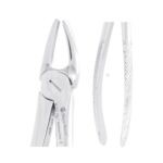 MAYERBACH Üst Premolar Davye Fig 7 - Görsel 2