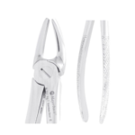 MAYERBACH Ust Premolar Davye Fig 7