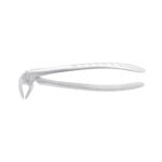 KRUGER Alt Premolar – Alt Küçük Azı Davye Fig 13 - Görsel 2