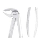 MAYERBACH Alt Molar Davye Fig 22