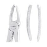 MAYERBACH Üst Sağ Molar Davye Fig 17