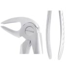 KRUGER Alt Premolar – Alt Küçük Azı Davye Fig 13