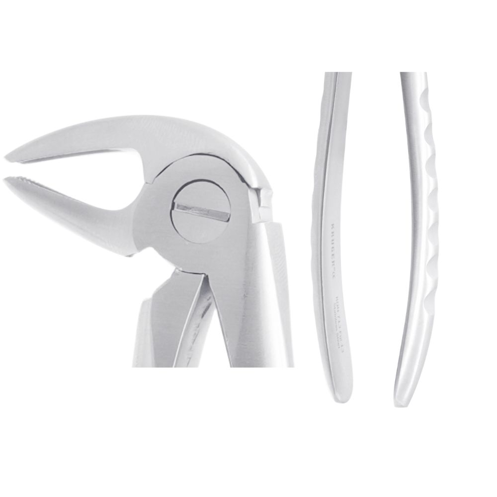 2-411.jpg KRUGER Alt Premolar – Alt Küçük Azı Davye Fig 13 - Görsel 1