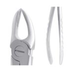 KRUGER Üst Sağ Molar Davye Fig 18