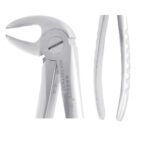 KRUGER Alt Molar Davye Fig 22